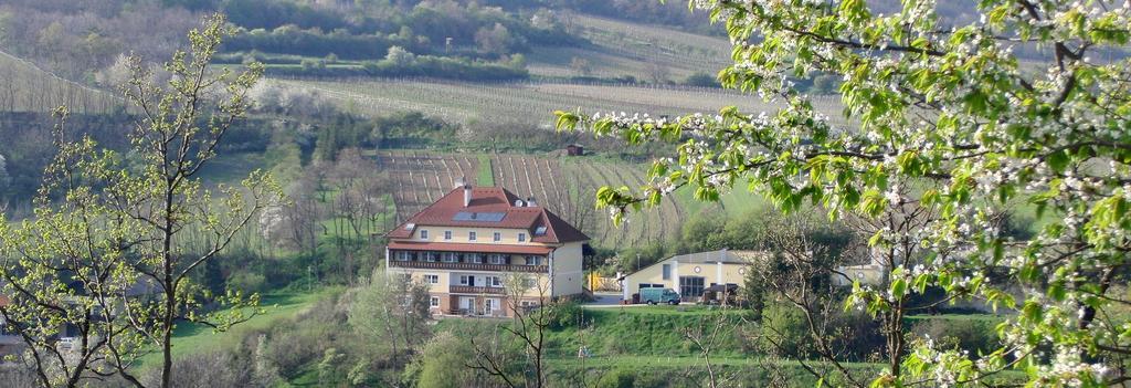 فندق Pension Rudi - Weingut Kellner Pulkau المظهر الخارجي الصورة