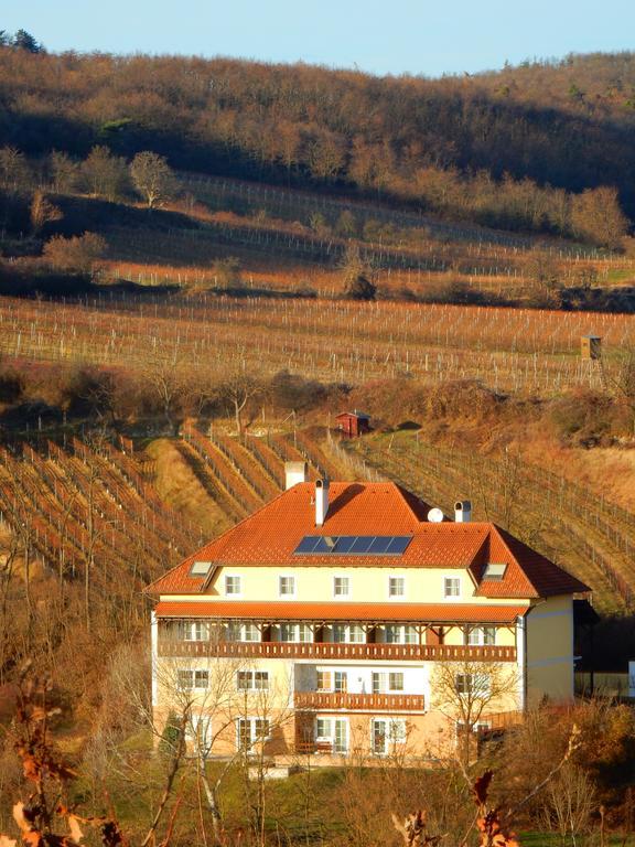 فندق Pension Rudi - Weingut Kellner Pulkau المظهر الخارجي الصورة